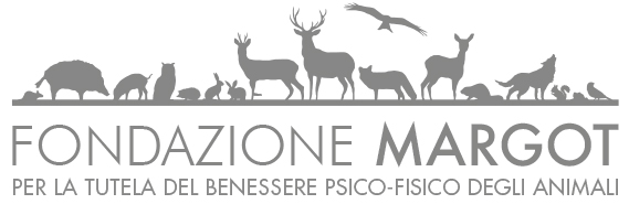 Fondazione Margot